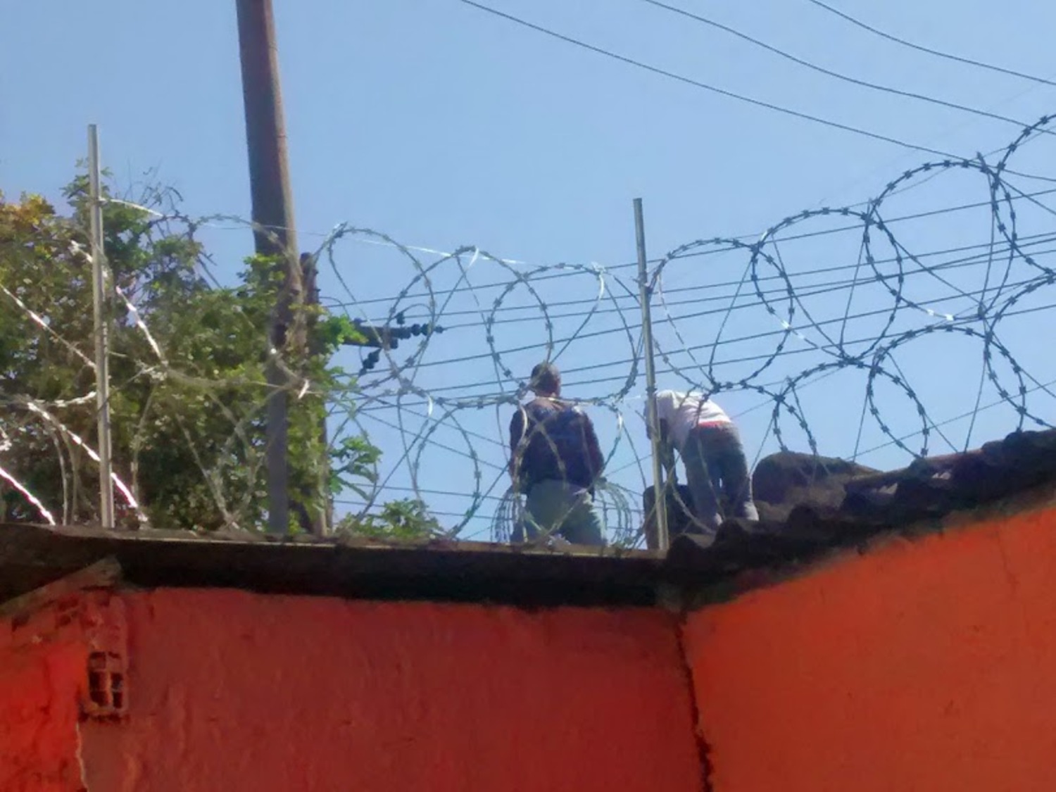 trabalho realizado com concertina dupla clipada